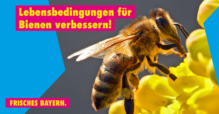 Lebensbedingungen für Honig und Wildbienen verbessern.